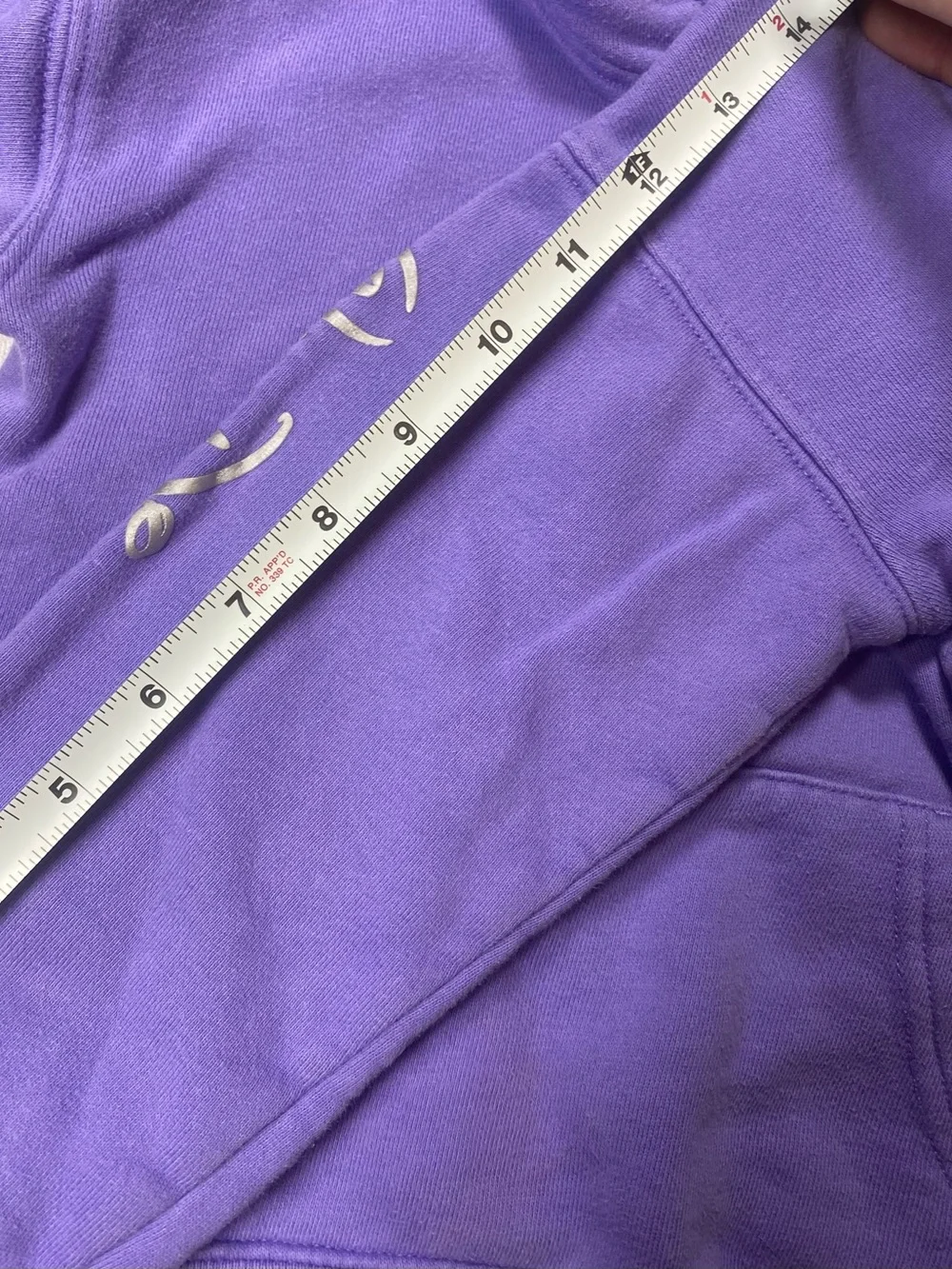 Disney World Purple Kids Hooded Sweatshirt 100th Anniversary